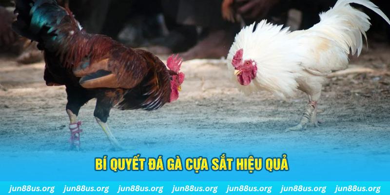 go 88 xổ số miền bắc thứ ba hàng tuần