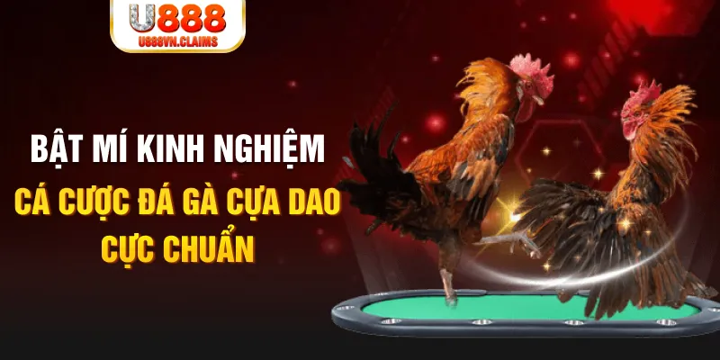 casino hồ tràm có cho người việt vào không