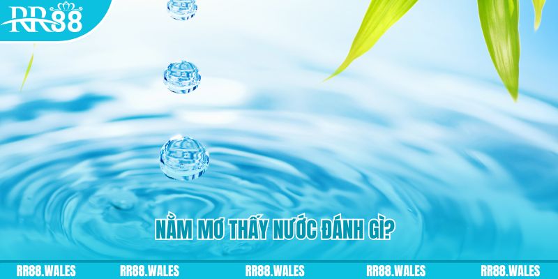 go 88 xổ số trực tiếp miền bắc