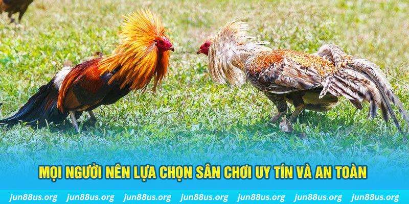 go 88 đăng nhập poker 2025