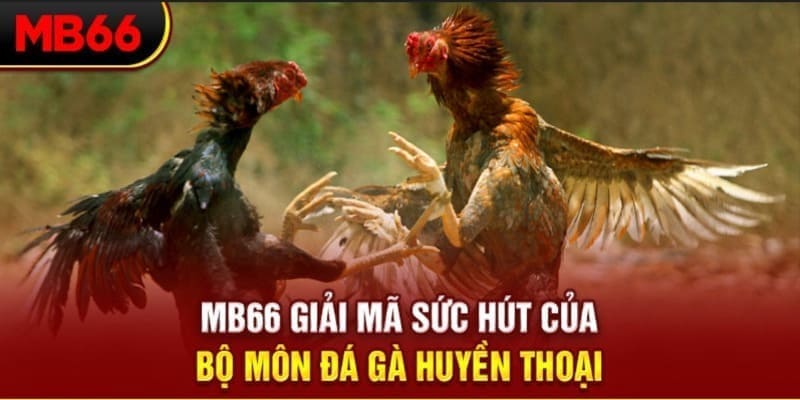 go 88 xổ số đài bắc