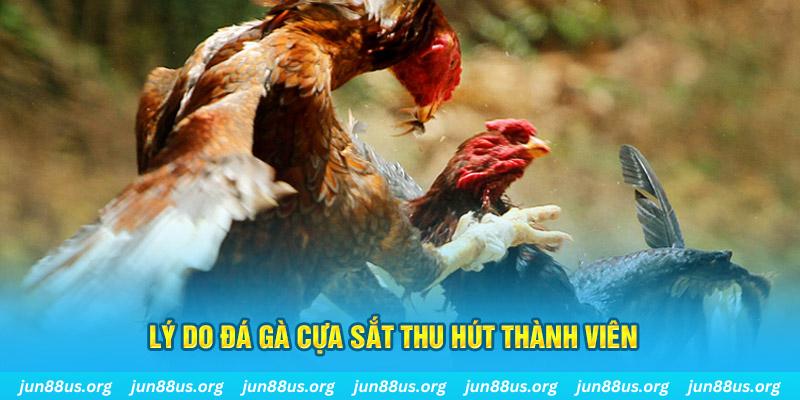 go 88 nổ hũ ăn bao nhiêu