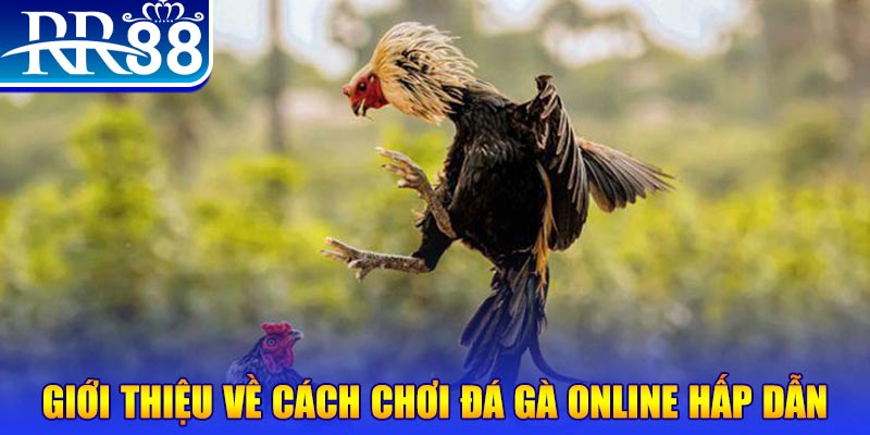 bắn cá h5 là gì