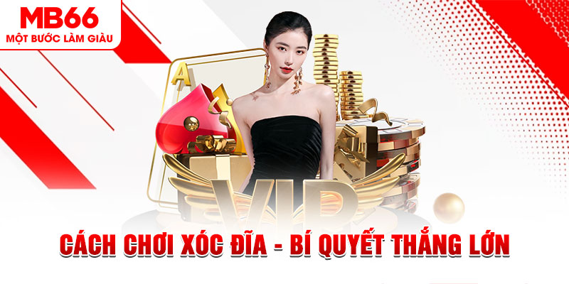 go 88 Đĩa màu ace