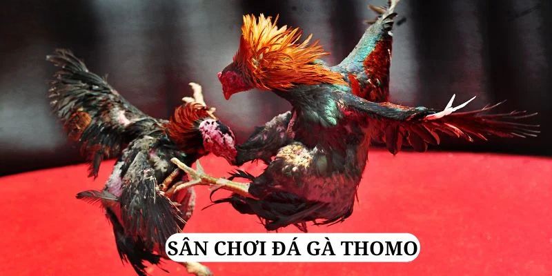 go 88 quay nổ hũ là gì